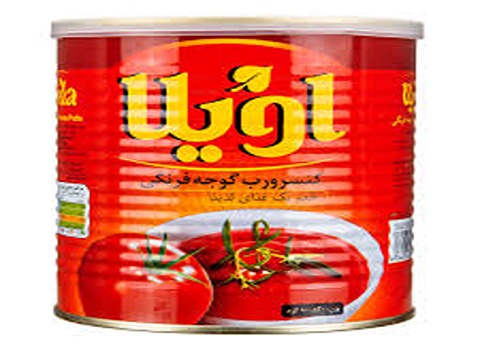 قیمت خرید رب گوجه فرنگی 800 گرمی اویلا  + فروش ویژه